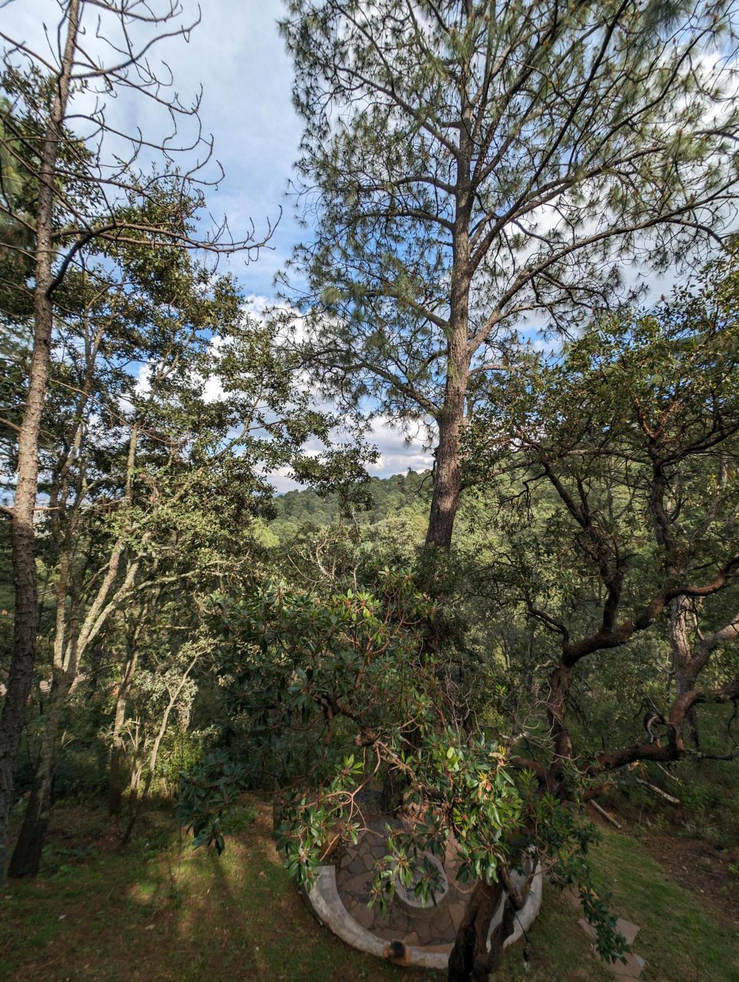 Cabana La Finca 마자미틀라 외부 사진