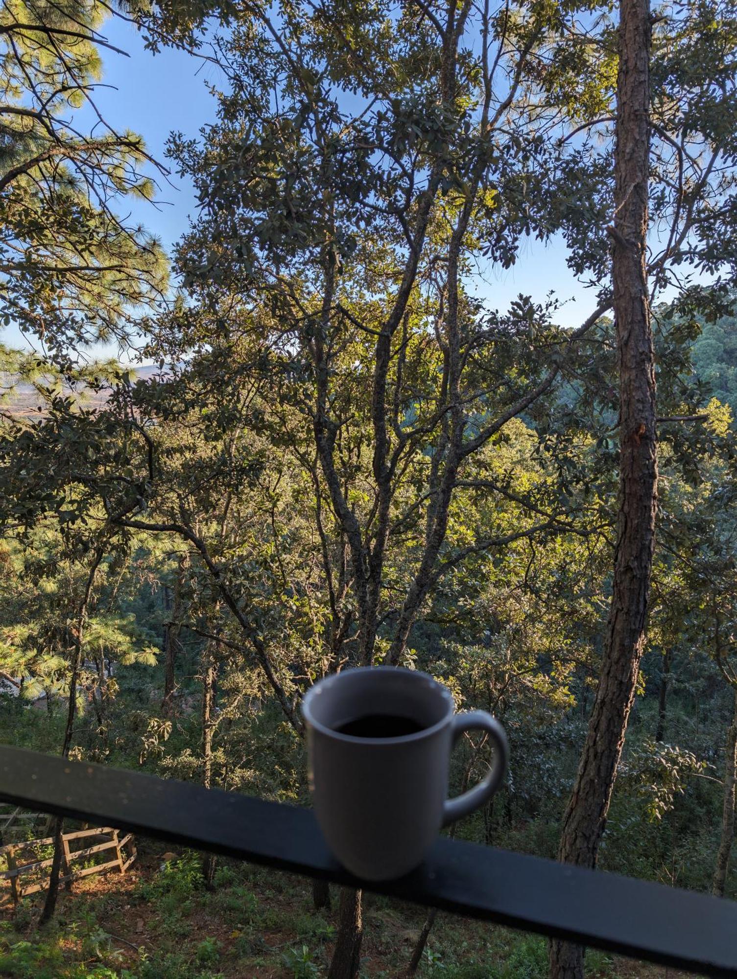 Cabana La Finca 마자미틀라 외부 사진